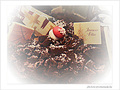 Joyeuses f�tes�! -- 26/12/08